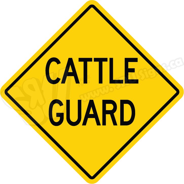 sruroad125-cattle-guard